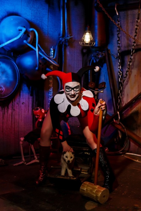 Harley Quinn sex picture 11